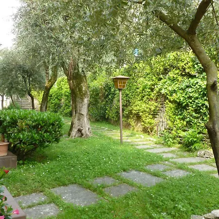 Boccino Brenzone sul Garda